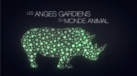 Les Anges Gardiens du Monde Animal